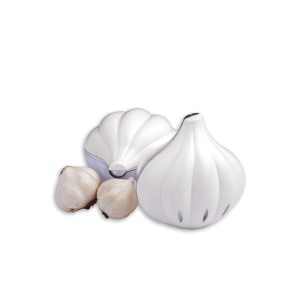 Posuda za beli luk TR.